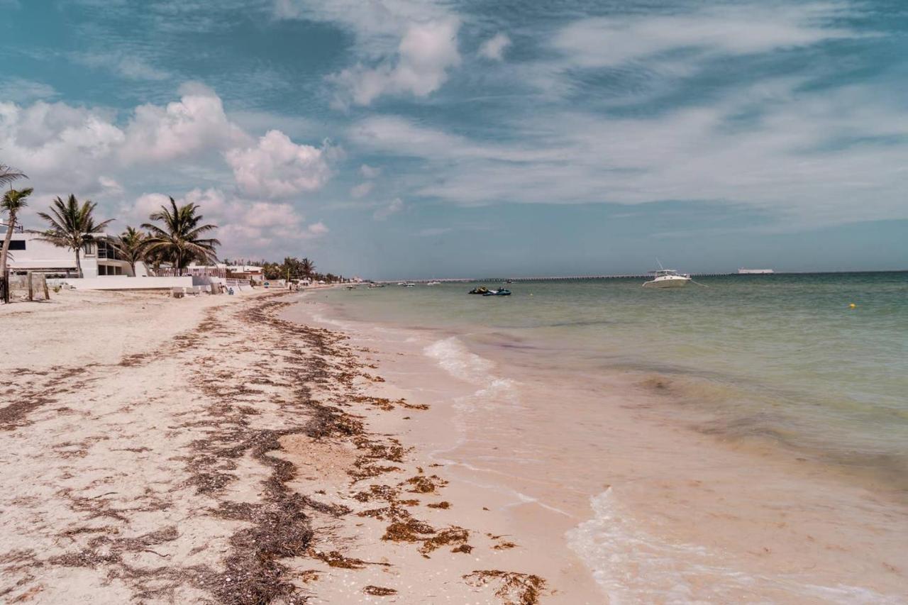 Luxury Condo, The Hidden Gem Playa Chaca. Live It! プログレソ エクステリア 写真