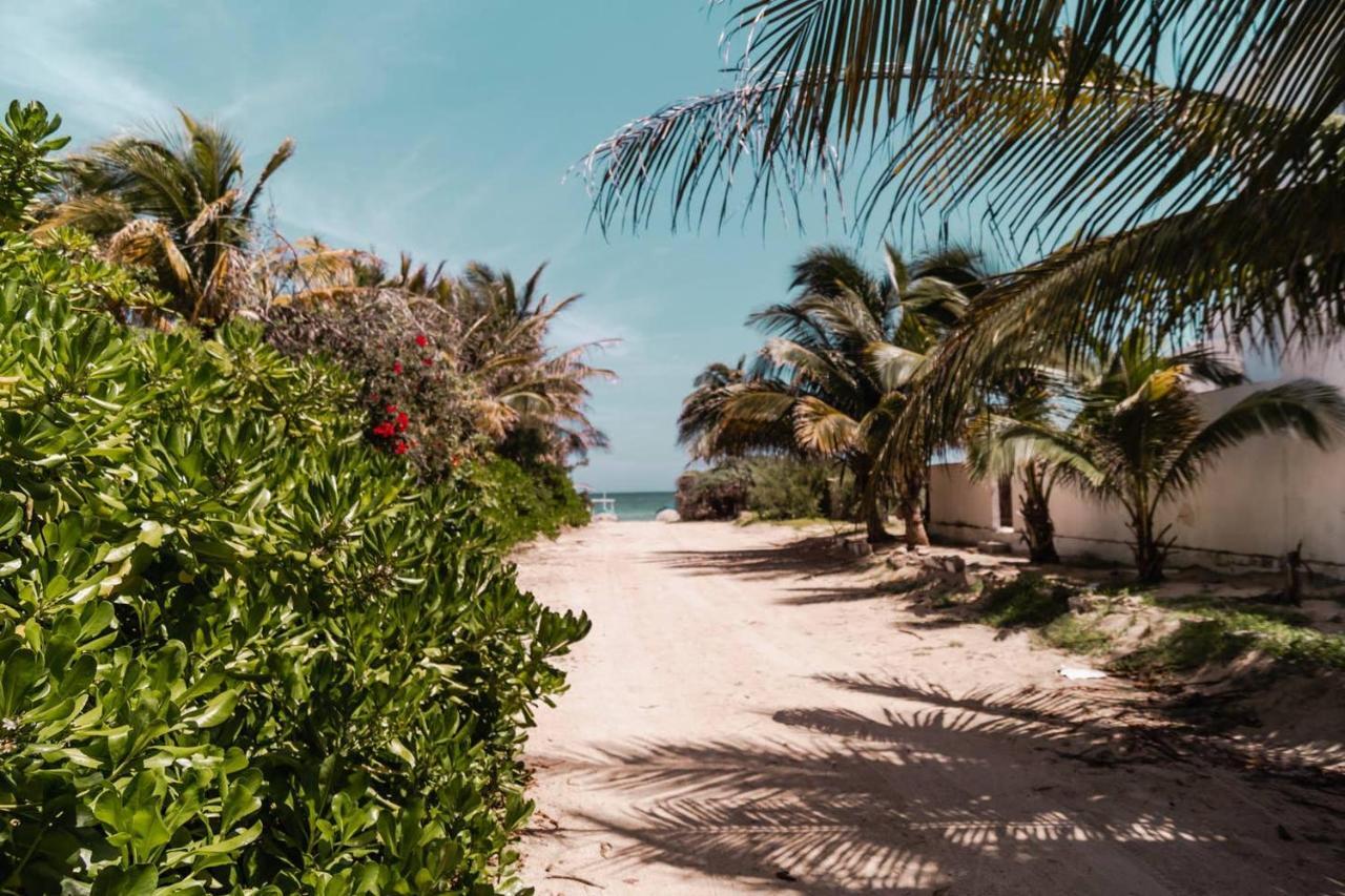 Luxury Condo, The Hidden Gem Playa Chaca. Live It! プログレソ エクステリア 写真